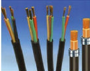 天纜小貓牌電線電纜 動力電纜線與鎧裝電力電纜的專業報價解析