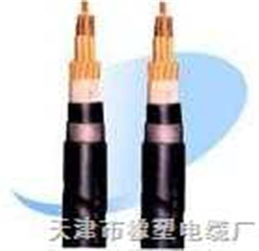 RVZ與RVZ電力電纜 規格、特點與應用全解析