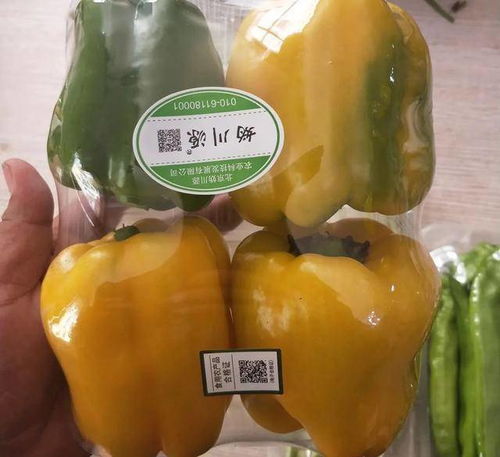 食用農(nóng)產(chǎn)品合格證 研發(fā)環(huán)節(jié)的隱形守護者